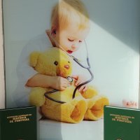 clinica fisiomedicall